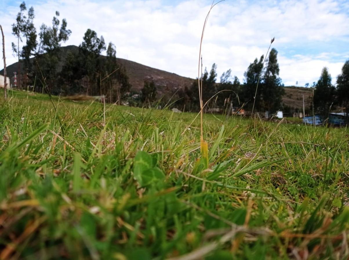 Camping Las Acacias Guatavita Zewnętrze zdjęcie