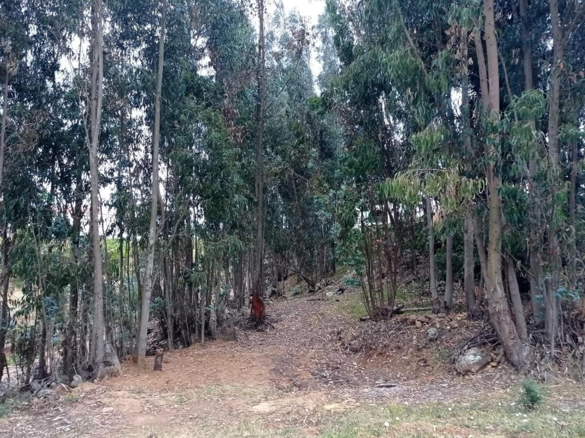 Camping Las Acacias Guatavita Zewnętrze zdjęcie