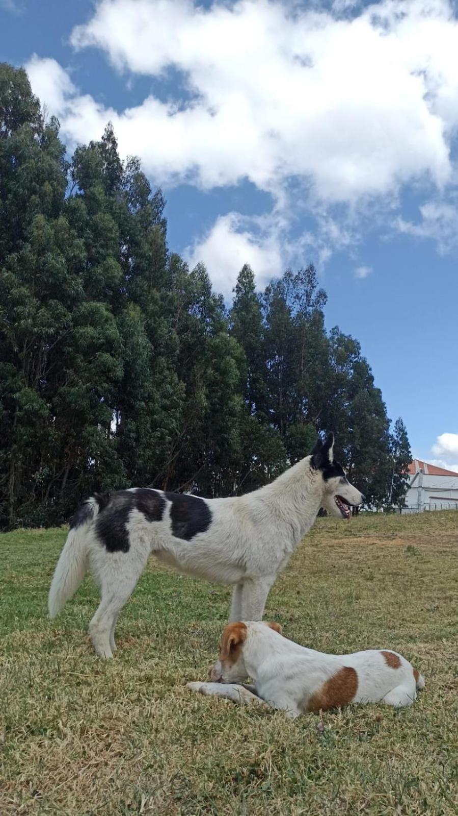 Camping Las Acacias Guatavita Zewnętrze zdjęcie