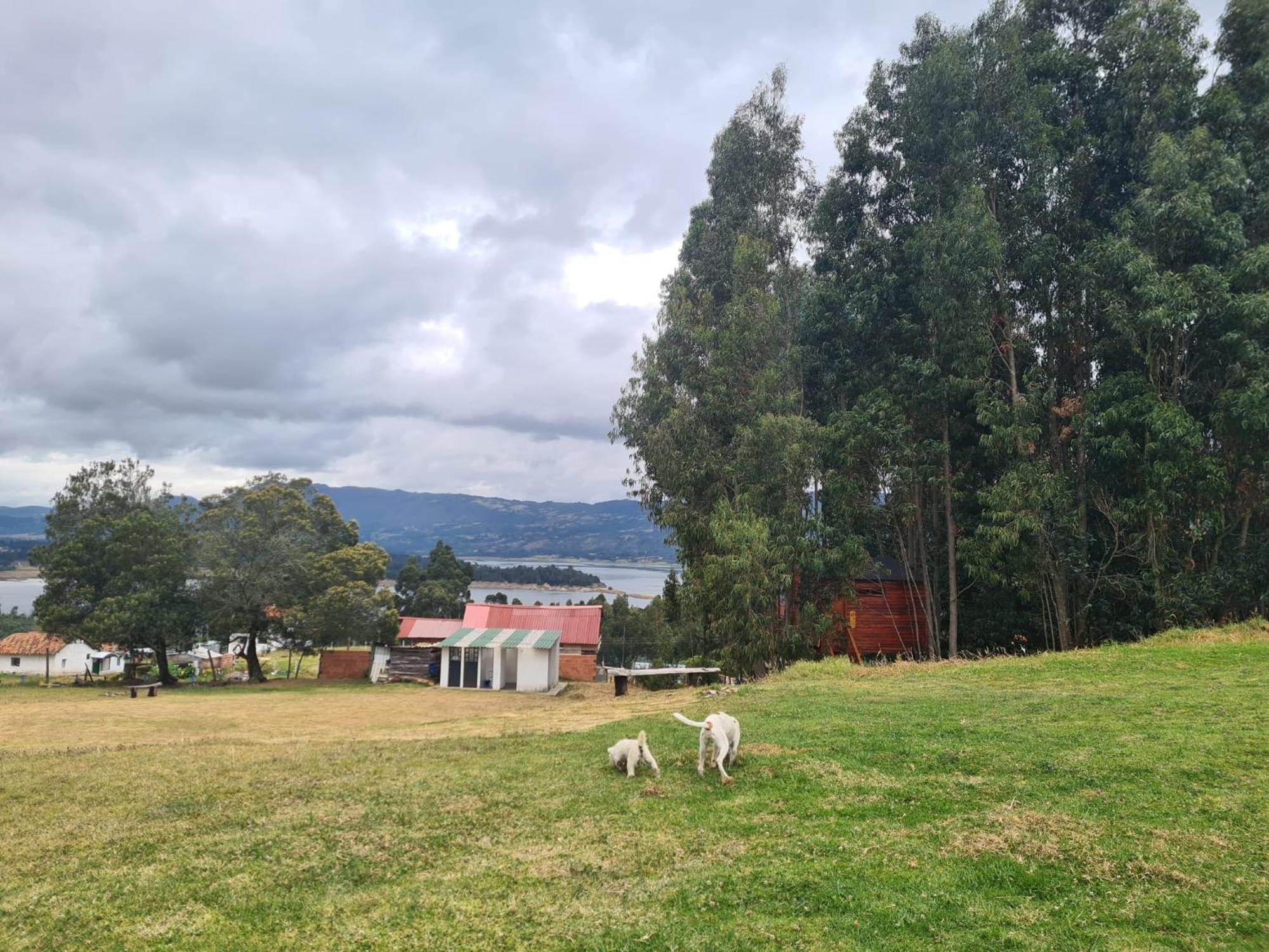Camping Las Acacias Guatavita Zewnętrze zdjęcie